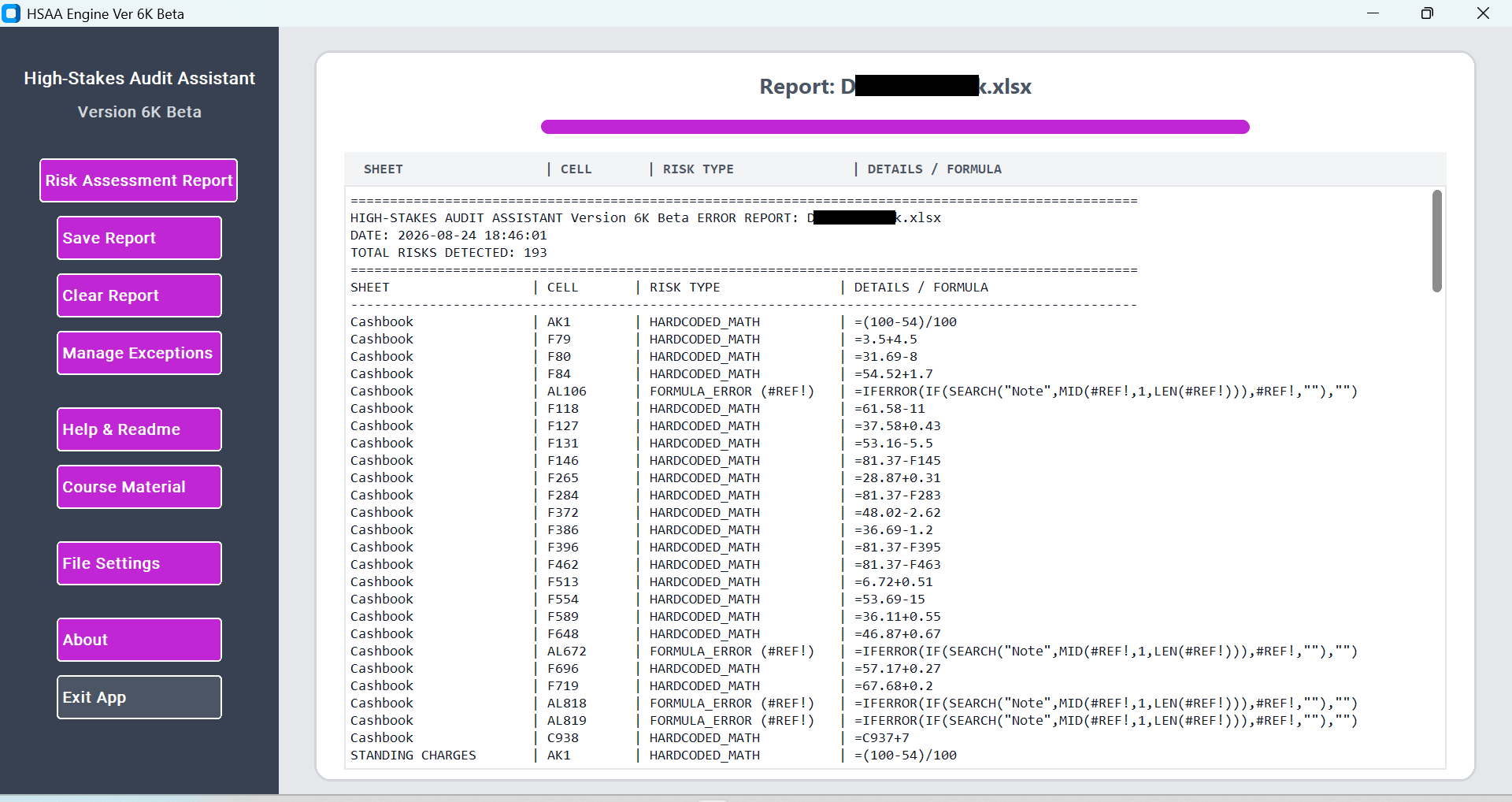 HSAA High-Stakes Audit Assistant standalone app showing a spreadsheet risk assessment report